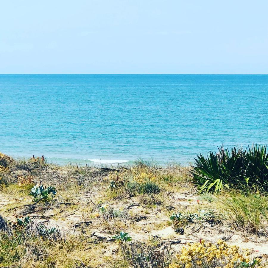 Appartement Rez-De-Chaussee Entre Dunes Et Ocean 라카노오세앙 외부 사진