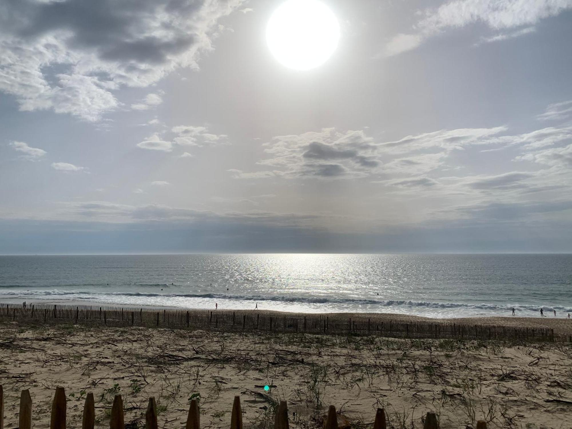 Appartement Rez-De-Chaussee Entre Dunes Et Ocean 라카노오세앙 외부 사진